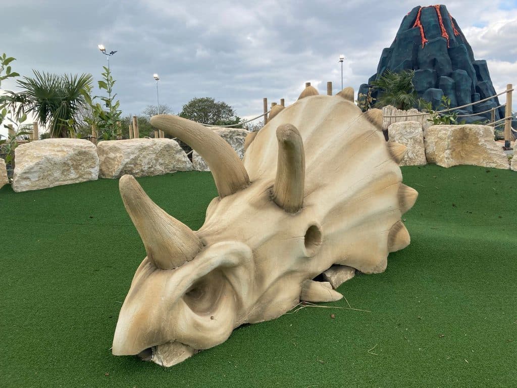 triceratops skull